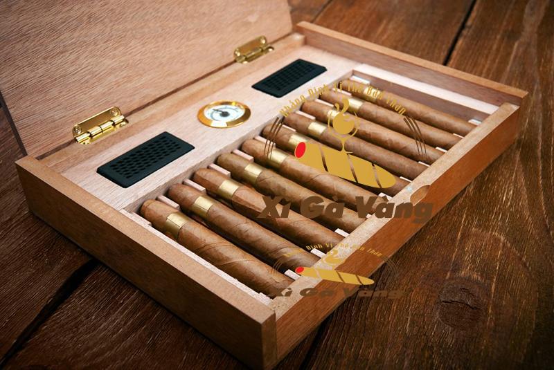 Xì gà cần được bảo quản trong môi trường lý tưởng